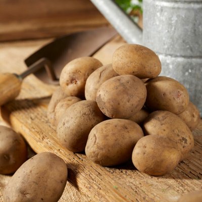 Sättpotatis Marabel 1kg Ekologisk