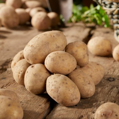Sättpotatis Maris Bard 1kg