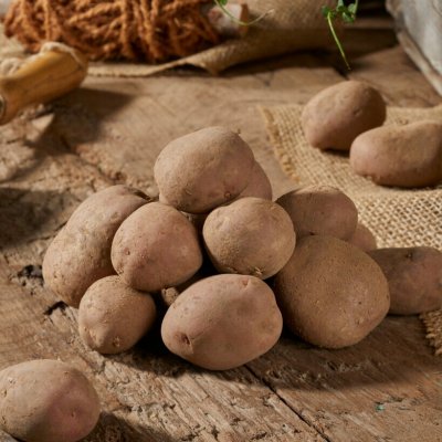 Sättpotatis Monte Carlo 1kg
