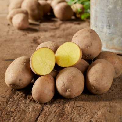 Sättpotatis Pocahontas 1kg