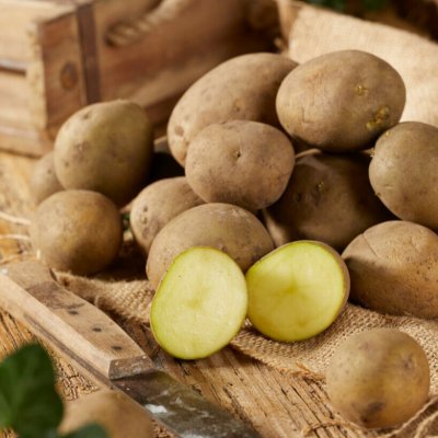 Sättpotatis Solist 1kg