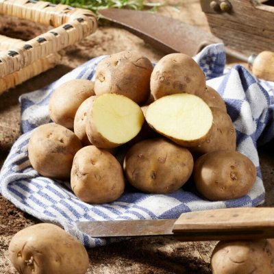 Sättpotatis Timo 1kg