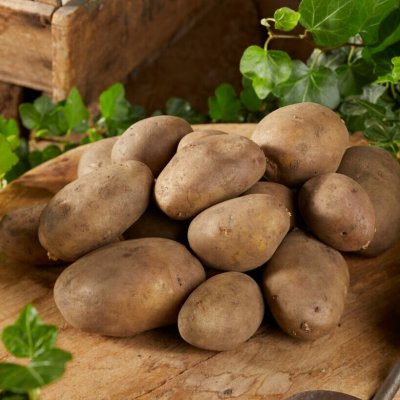 Sättpotatis Tinca 1kg