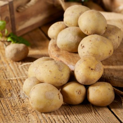 Sättpotatis Twister 1kg Ekologisk
