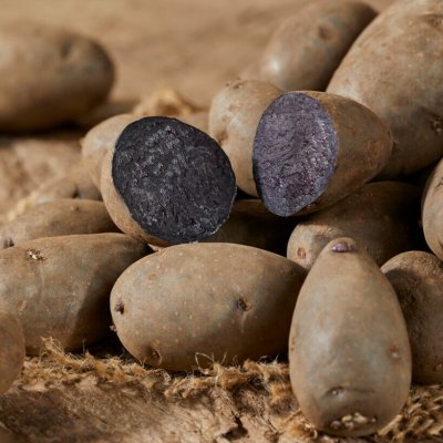 Sättpotatis Violet Queen 1kg