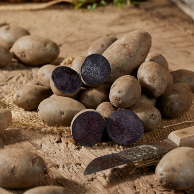 Sättpotatis Violet Queen 1kg