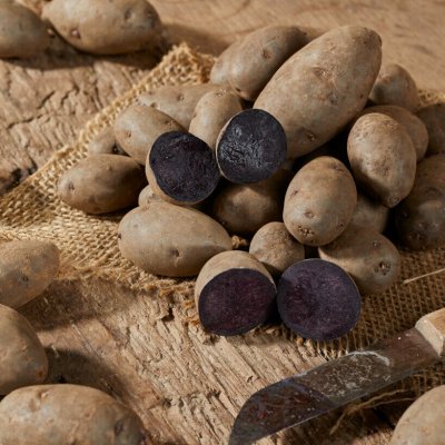 Sättpotatis Violet Queen 1kg