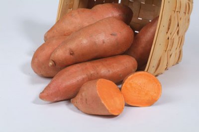 Sötpotatis Evangeline, stickling 3-pack