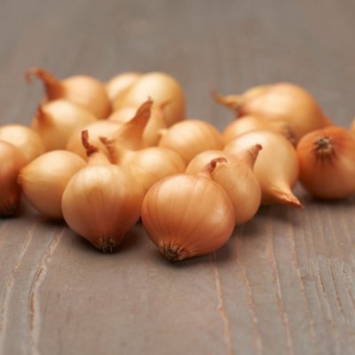 Sättlök Gul Stuttgarter Riesen 250g