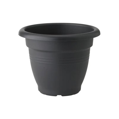 Urna Green Basics Campana Svart