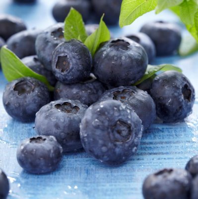 Vaccinium corymbosum Emblue, Amerikansk Blåbär, 40-50 C3