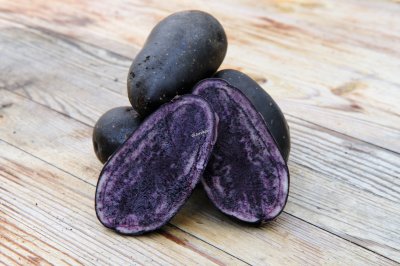 Sättpotatis Violetta 1kg
