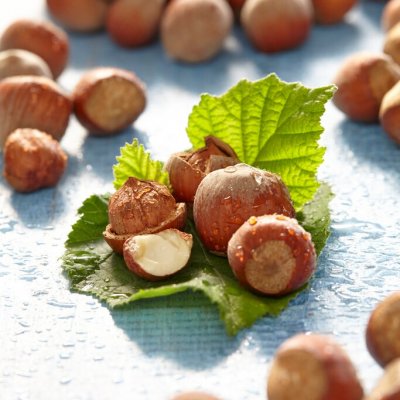 Corylus Cosford, Hasselnöt