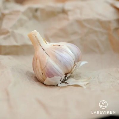 Allium sativum Vekan
