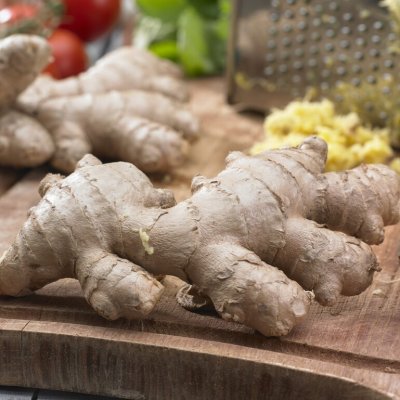 Ingefära Zingiber officinale 1st