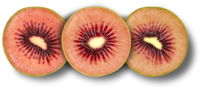 Actinidia deliciosa Red Kiwi (Zespri RubyRed ™)